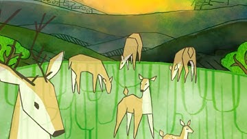 The World is Green (Hairston, Smith and Slobodkin 1960)