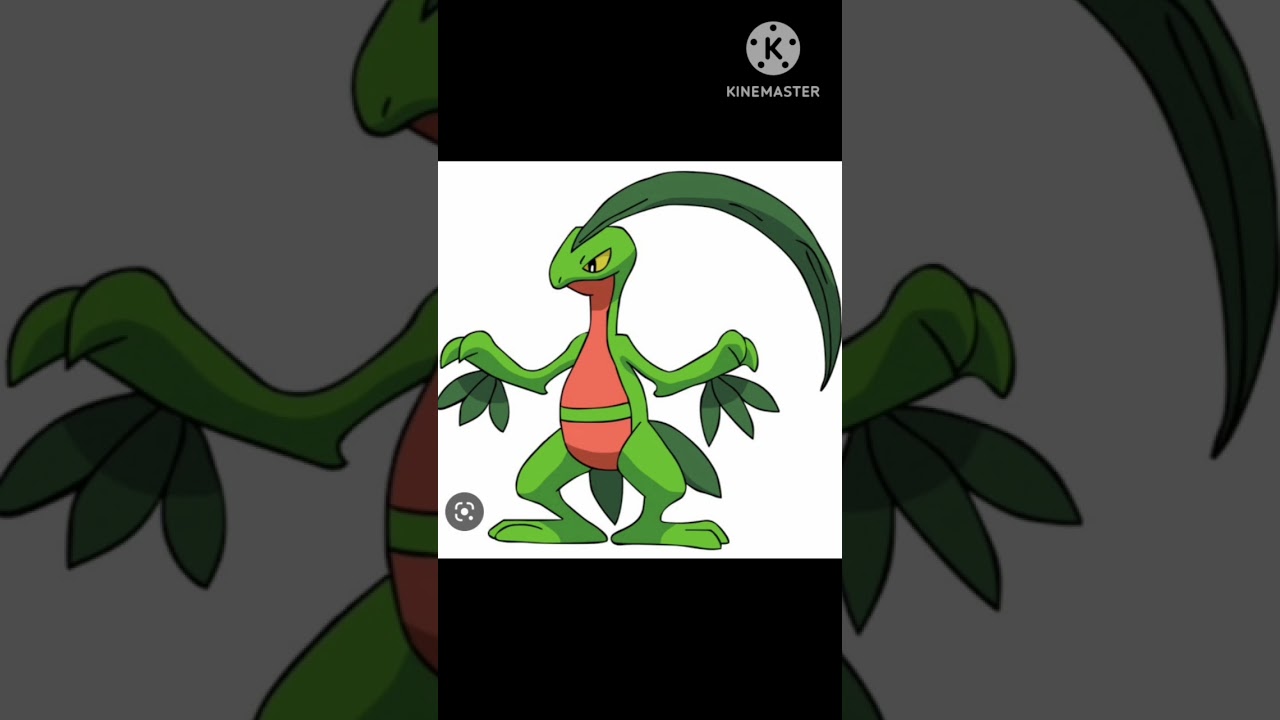 Treecko evolution