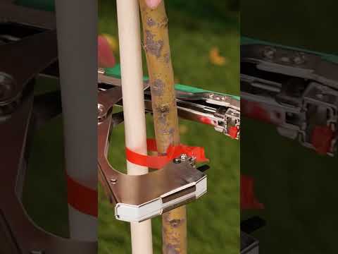 Garden NW → Garden Projects and DIY Planters