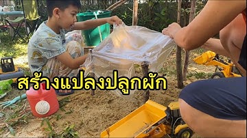 สร้างแปลงปลูกผักกับรถของเล่น #แปลงผัก #รถของเล่น