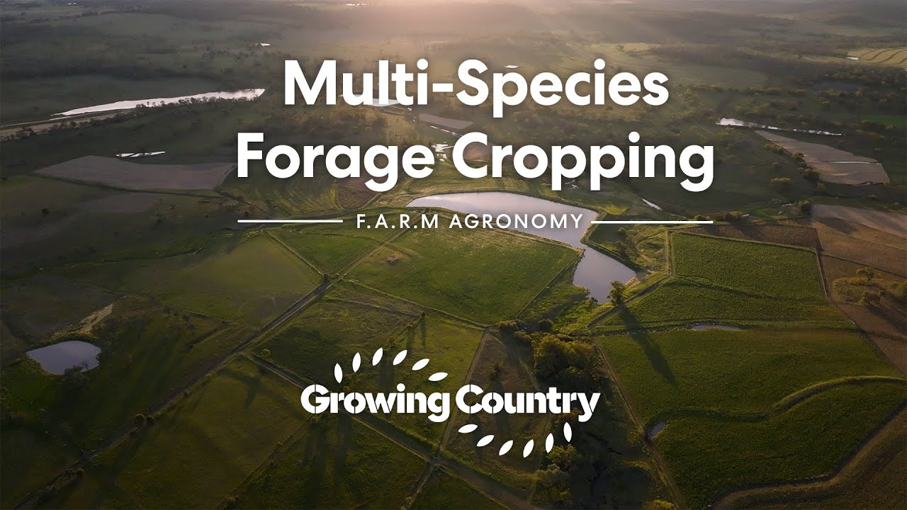 Growing Country Originals - F.A.R.M Agronomy - Multi Species Forage Cropping