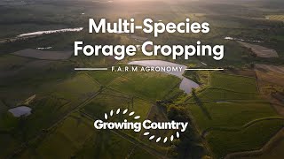 Growing Country Originals - F.a.r.m Agronomy - Multi Species Forage Cropping