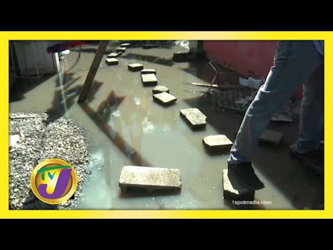 Mosquito: TVJ Bite of the Week