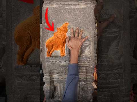 How is it possible?🤯😱 #shorts #illusion #animals #cow #elephant #ytshorts #trending #shortsfeed #3d