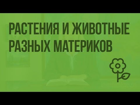 Растения и животные разных материков. Видеоурок по природоведению 5 класс