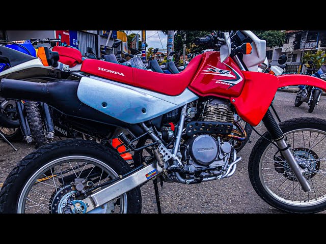 XR650L  XR650 xr600 TT500 XT500 ホンダ XR650L Dual Sport Motorcycle - Street Legal Dirt Bike | Honda