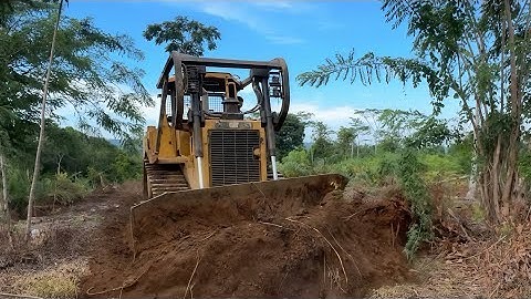 Amazing Bulldozer Action | Watch Our Team at Work Leveling the Ground! 