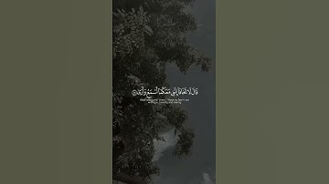ياسر الدوسري🌼|اطمئن|تلاوة تملأ قلبك بالطمأنينة💜