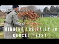 Thinking logically in bonsai   easy