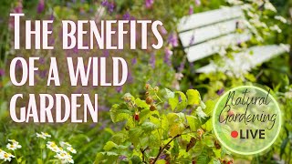 Benefit of a wild garden. 5 ways to rewild your garden.