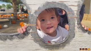 Family Fun Day at Peltzer Farm Temecula | A Day of Firsts and Pumpkin Adventures 🎃