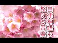 【自律神経を整える音楽】 夢見るような美しいメロディーのピアノ曲～リラックス、安眠、疲労回復、心身の安定