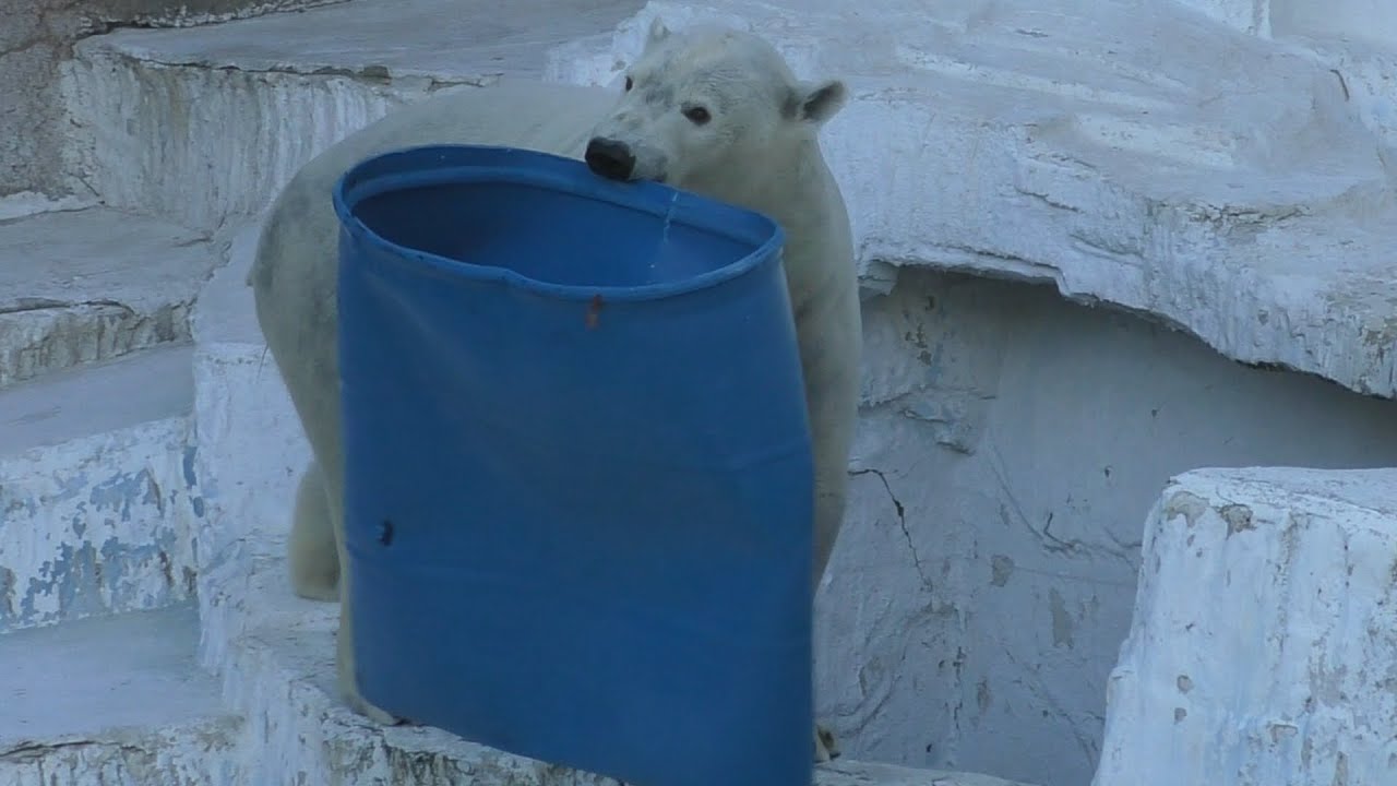 [Бесконечный цикл] Хоу💗 продолжает играть на барабане, испытывая свои физические возможности и стано