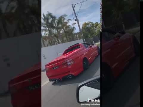 Tik Tok Funny Videos Maloogucciballers On Maloo Hsv Red Eyecandy Deaancali Guccigang Sla