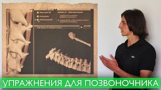 УПРАЖНЕНИЯ ДЛЯ ПОЗВОНОЧНИКА. Лучшие упражнения для поддержания здоровья позвоночника(Этот комплекс упражнений для позвоночника подходит людям любого возраста с любым уровнем подготовки. Эти..., 2014-10-17T15:54:28.000Z)