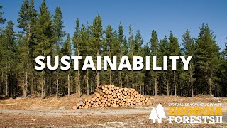 Sustainable Forestry | Georgia Forestry II