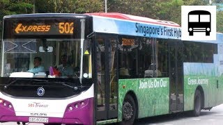 Sunlong SLK6121 Hybrid - SBS Transit Express Bus 502 (Part One)