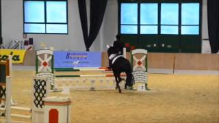 Show Jumping Vermezzo