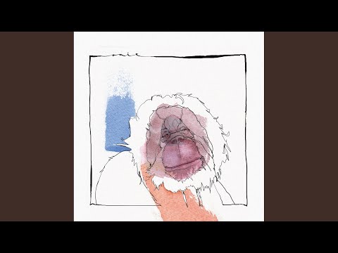 Acid Pauli — Goran Utan