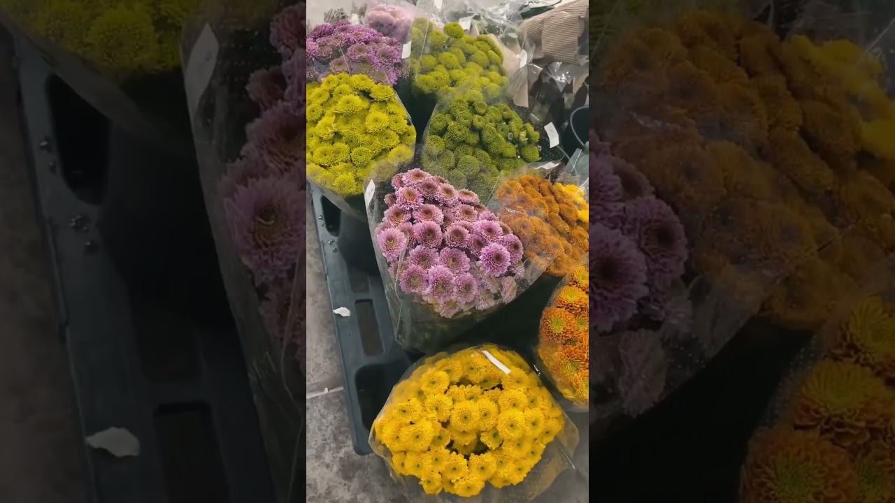 Supplying Beauty in Bulk – Fresh Flowers for Florists & Events  