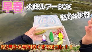 早春の鯰ルアー紹介！ワームvsトップウォーター！どっちが釣れる