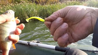 видео: Осенний ЖОР! Бабье Лето и Полосатый Разбойник. Jig fishing картинка: Осенний ЖОР! Бабье Лето и Полосатый Разбойник. Jig fishing
