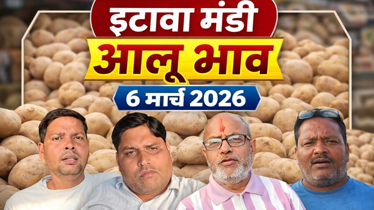 इटावा मंडी आलू का ताजा भाव | 6 मार्च 2026 | आज आलू के रेट क्या रहे?