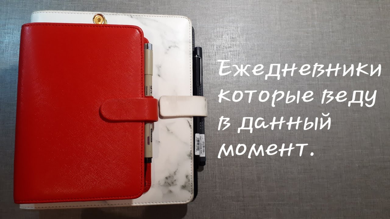 Ежедневники которые веду в данный момент.