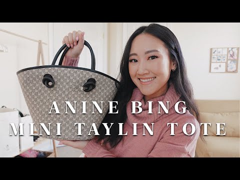 Anine Bing - Large Taylin Tote in Brown