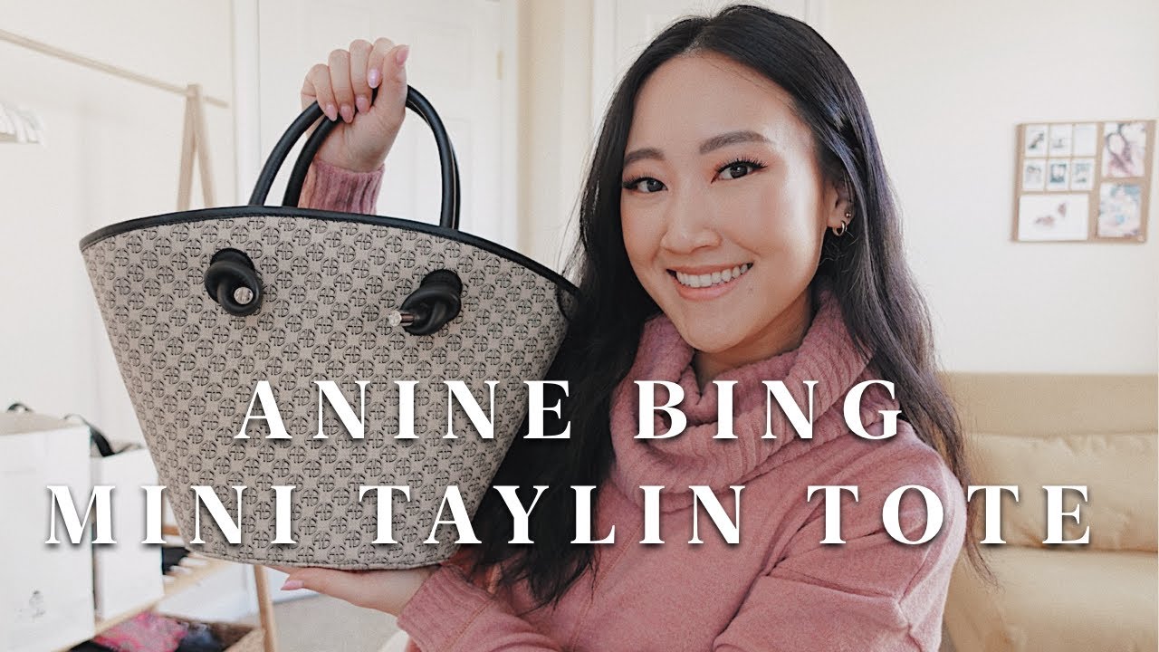 A'POKE - Anine Bing Mini Taylin Tote Brown