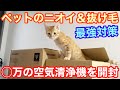 【猫飼ってる人必見‼️】匂いが気になるので、最強の空気清浄機買いました‼️