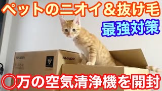 【猫飼ってる人必見‼️】匂いが気になるので、最強の空気清浄機買いました‼️