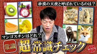 【超常識チェック!!】最下層から超一流に上り詰めろ!!陣内の常識力をクイズでチェック!!