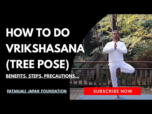Vrikshasana or Tree Pose and its benefits | Tree pose, Standing yoga poses,  Poses