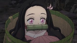 8 Minutes of Nezuko being Adorable || Demon Slayer