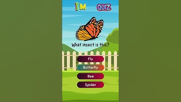 Fun Quiz for Kids| olorful & Interactive Learning for Nursery |  Time for Quiz Youtube Shorts #kids