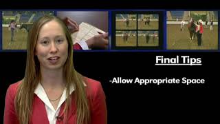 Halter: 4 Final Tips