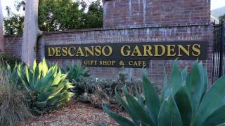 La Cañada Flintridge House For Sale- 519 Paulette Pl, La Cañada Flintridge, CA 91011