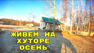 Как мы живем на ХУТОРЕ осенью.