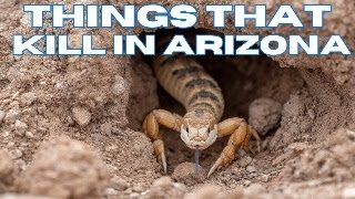 Things That Can Kill You in Arizona 😱 Deadly Creatures & Dangers!