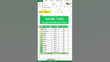 Jumlah total ikut berubah jika difilter |  Microsoft Excel #Shorts