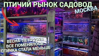 ПТИЧИЙ РЫНОК САДОВОД МОСКВА (ВЕСНА-ЛЕТО 2024) l ВСЕ ПОМЕНЯЛОСЬ l ПТИЧИЙ РЫНОК СТАЛ МЕНЬШЕ: ПОЧЕМУ?