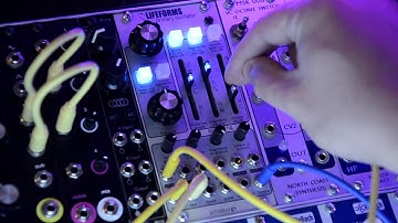 Lifeforms Primary Oscillator Pittsburgh Modular/some fun with sequences