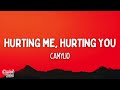 Camylio Hurting Me Hurting You Lyrics