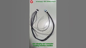 Precision Double-End Crimping Machine with Automatic Shell Insertion#wireprocessing#customization