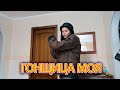 VLOG Перегнали мотоцикл. Собираемся в дорогу.