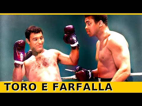 Video: Incredibile: i tuoi personaggi televisivi preferiti immaginati come gatti