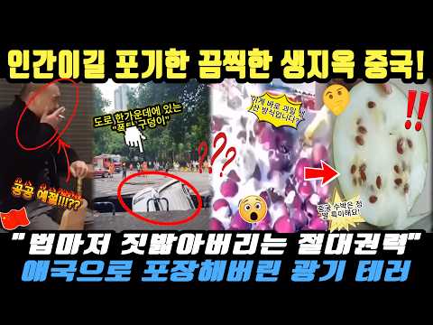 중국반응 |"이게 나라냐?" 발암 생닭에 가짜 하수구까지… 두 눈을 의심하게 만드는 중국의 미친 일상 🚨