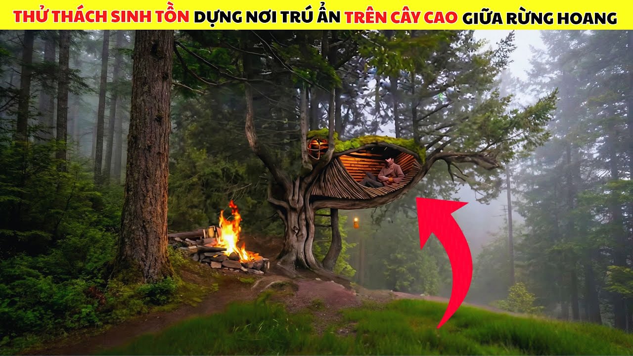 Thử Thách Sinh Tồn Người Đàn Ông Xây Dựng Nơi Trú Ẩn Trên Cây Cao Để Tránh Thú Dữ Giữa Rừng Hoang Dã