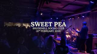 Safeguard - Sweet Pea (Live at Brudenell Social Club, Leeds 21st February 2026)